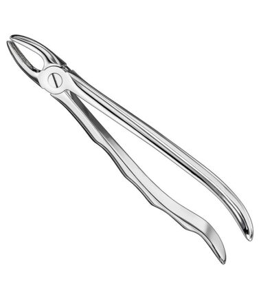 extracting-forceps-anat-13