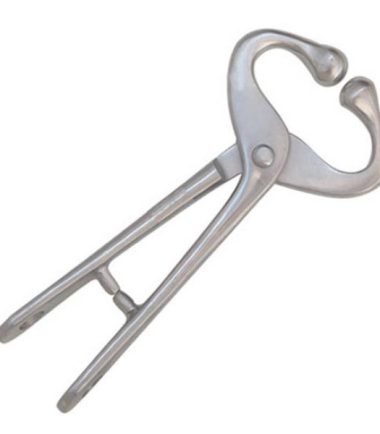 Bull Holder